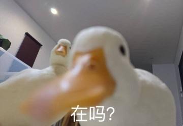 Duck Blood Fan Soup