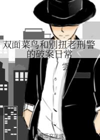 The daily life of a double-faced rookie and an awkward old detective