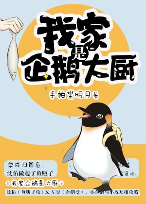 Little Penguin Courtship Diary