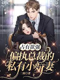 Possessiveness: The private little wife of the paranoid CEO