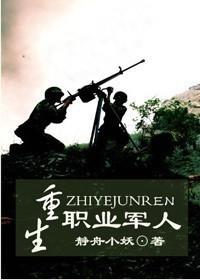 Reborn Professional Soldier